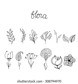 Sketch of floral elements for your design. Set of hand drawn floral page elements