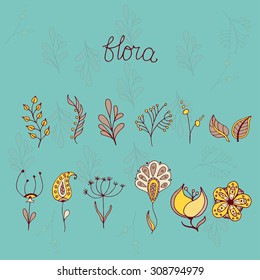 Sketch of floral elements for your design. Set of hand drawn floral page elements