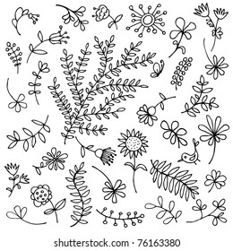 Sketch of floral elements for your design