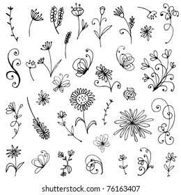 Sketch of floral elements for your design