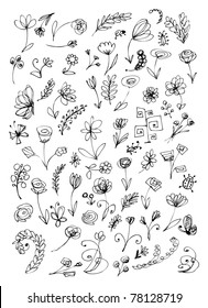 Sketch of floral elements for your design
