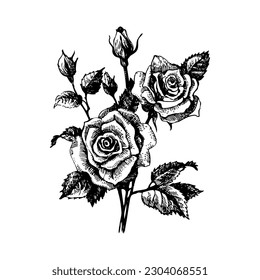 Sketch floral rose banner