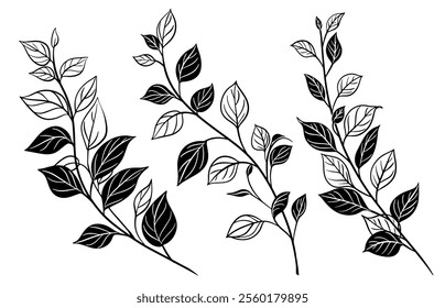 Sketch Flower Botany Collection. Branches Drawings. Black and White with Line Art on White Background. Isolated botanical foliage. Botanical garden. Silhouette branches. Hand Drawn