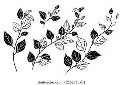 Sketch Flower Botany Collection. Branches Drawings. Black and White with Line Art on White Background. Isolated botanical foliage. Botanical garden. Silhouette branches. Hand Drawn