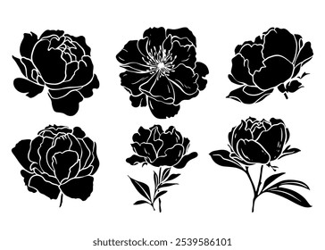 Esboço Flor Botânica Coleção. Desenhos de flores. Preto-e-branco com Line Art no Plano de Fundo Branco. Flor botânica isolada. Jardim botânico. Flores de silhueta. Desenhado à Mão