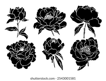 Esboço Flor Botânica Coleção. Desenhos de flores. Preto-e-branco com Line Art no Plano de Fundo Branco. Flor botânica isolada. Jardim botânico. Flores de silhueta. Desenhado à Mão