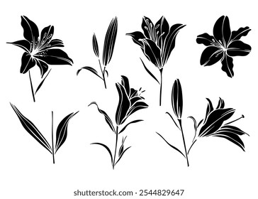 Skizze Blume Botanik Sammlung. Blumenzeichnungen. Schwarz-Weiß mit Linien-Kunst auf weißem Hintergrund. Isolierte botanische Blume. Botanischer Garten. Silhouette Blumen. handgezeichnet