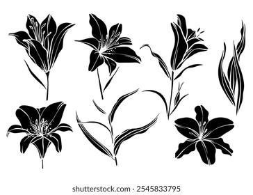 Sketch Flower Botany Collection. Flower Drawings. Black and White with Line Art on White Background. Isolated botanical flower. Botanical garden. Silhouette flowers. Hand Drawn