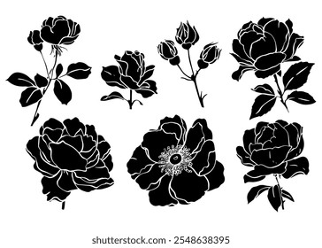 Esboço Flor Botânica Coleção. Desenhos de flores. Preto-e-branco com Line Art no Plano de Fundo Branco. Flor botânica isolada. Jardim botânico. Flores de silhueta. Desenhado à Mão