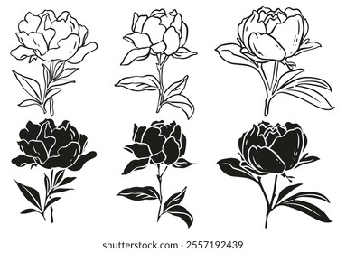 Sketch Flower Botany Collection. Flower Drawings. Black and White with Line Art on White Background. Isolated botanical flower. Silhouette flowers. Botanical garden. Hand Drawn