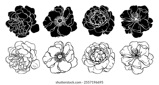 Sketch Flower Botany Collection. Flower Drawings. Black and White with Line Art on White Background. Isolated botanical flower. Silhouette flowers. Botanical garden. Hand Drawn