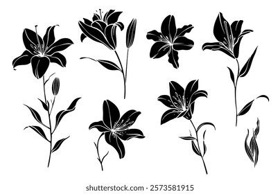 Sketch Flower Botany Collection. Flower Drawings. Black and White with Line Art on White Background. Isolated botanical flower. Botanical garden. Silhouette flowers. Hand Drawn