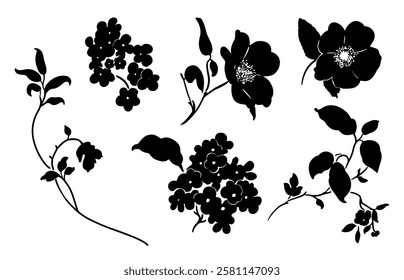 Sketch Flower Botany Collection. Flower Drawings. Black and White with Line Art on White Background. Isolated botanical flower. Botanical garden. Silhouette flowers. Hand Drawn