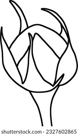 El bosquejo de la espuma de flores