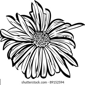 sketch of a flower garden resembling a daisy