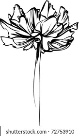 sketch of a flower with large petals