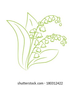 sketch of a flower lily of the valley. vector illustration