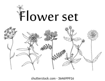 Sketch Flower set