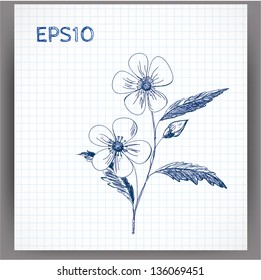 Sketch of a flower. Vector illustration