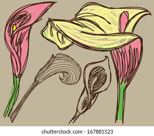 Sketch of flowers