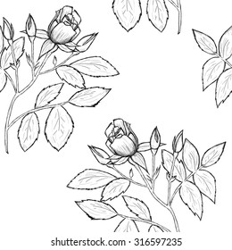 Sketch of flowers by hand on an isolated background