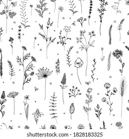 Sketch flowers collection. Seamless pattern with flowers and insect. Print for design.