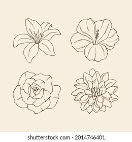 Sketch flowers. Lily, hibiscus, rose and dahlia illustration.