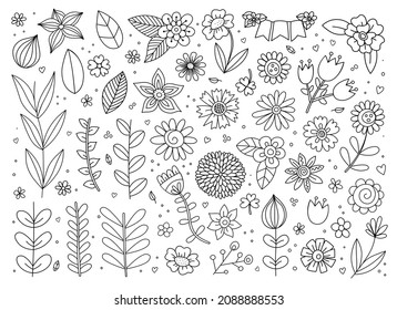 Sketch Flowers Spring Set. Hand Drawn vintage floral collection elements. Vector illustration in doodle style isolated on background. Herbal tea. Coloring book