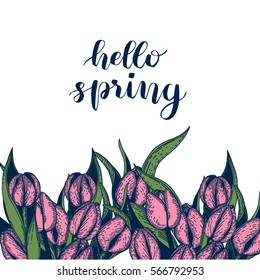 Sketch of flowers tulips. Vintage engraved illustration isolated on white background. Template for label poster, logo, web. hello spring lettering