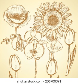 Sketch flowers, vector vintage backgrounds eps 10 