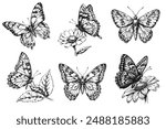 Sketch of a fluttering butterfly. On a white background.