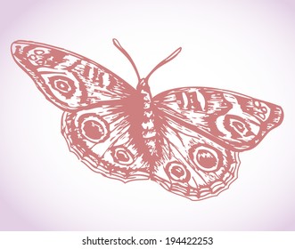Sketch flying butterfly illustration Ã¢Â?Â? drawing butterfly wings, sweet, lovely, subtle element motive for woman, girl fashion design for T-shirt, handbag, scarf