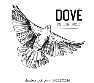 Sketch of a flying dove. Hand drawn illustration converted to vector