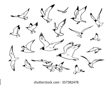 Sketch of flying seagulls. Set of silhouettes of seagulls.Hand drawn vector illustration.