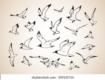 Sketch of flying seagulls. Set of silhouettes of seagulls on a light background.Hand drawn vector illustration.