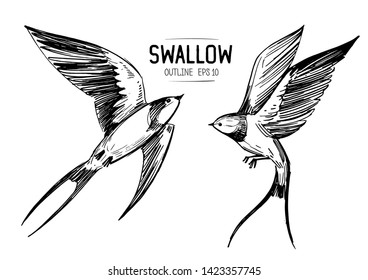 Zeichnung einer fliegenden Schwalbe. Handgezeichnete Illustration konvertiert zu Vektor