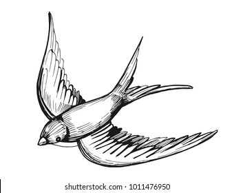 5,537 Swallow sketch Images, Stock Photos & Vectors | Shutterstock