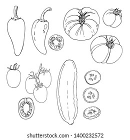 Sketch of food. Persian Cucumber, Jalapeno, Roma Tomatoes, Heirloom Tomato. 