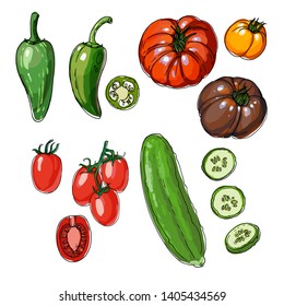 Sketch of food. Persian Cucumber, Jalapeno, Roma Tomatoes, Heirloom Tomato. 