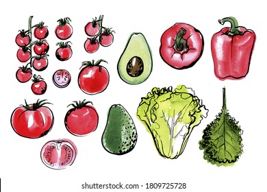 Sketch of food vegetables by line and watercolor. Cherry tomatoes, avocado, lettuce, kale, paprika