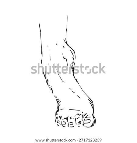Sketch of Foot Arch Extension and Toe Flexion Exercise