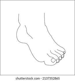 sketch foot vetor eps 10. isolated human part drawing.