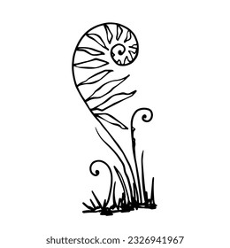 Sketch forest grass fern.Vector graphics.