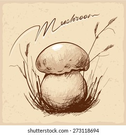 Sketch forest mushroom in the grass. Handmade.