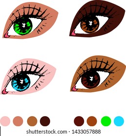 Sketch of four eyes of different iris color with different skin color on white background.