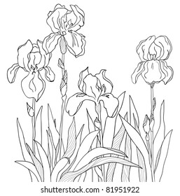 The sketch from a four flowers