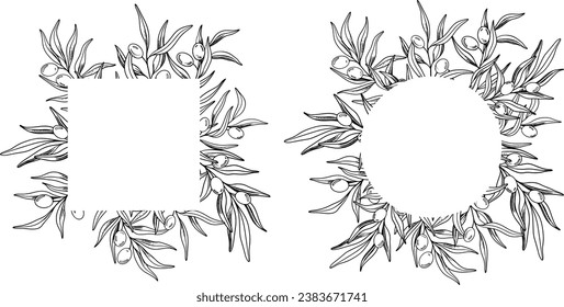 Sketch frame of olive branch with berries and leaves. Hand drawn vector line art illustration. Black and white drawing of the symbol of Italy or Greek for cards, design logo, tattoo