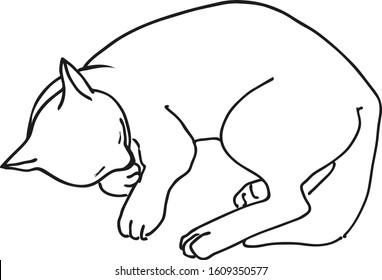 Sketch. Freehand drawing. The cat is resting after the hunt. The kitten curled up in a ball. Isolated vector illustration. Black on white.