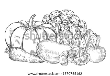 Similar – Image, Stock Photo White pumpkins pile at the market. Harvest time concept