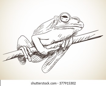 Frog Sketch Images, Stock Photos & Vectors | Shutterstock